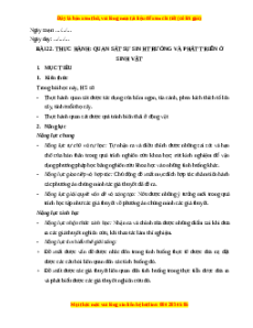 Giáo án Thực hành: Quan sát sự sinh trưởng và phát triển ở sinh vật Sinh học 11 Chân trời sáng tạo