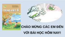 Giáo án Powerpoint Đọc: Thằn lằn xanh và tắc kè (trang 23, 24) Tiếng việt lớp 4 Kết nối tri thức