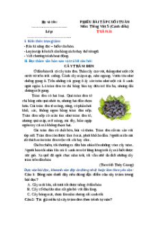 Bài tập cuối tuần Tiếng Việt lớp 5 Cánh diều Tuần 31