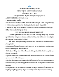 Bộ 20 đề thi Cuối kì 2 Tiếng Việt lớp 5 Chân trời sáng tạo có đáp án
