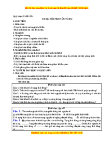 Giáo án Vật lí 12 Bài 33: Mẫu nguyên tử Bo