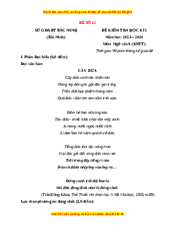 Đề thi cuối kì 1 Ngữ văn 6 Kết nối tri thức - Đề 12