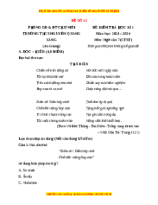 Đề thi cuối kì 1 Ngữ Văn 7 Chân trời sáng tạo (Đề 13)