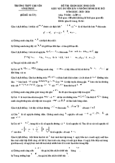 Đề thi HSG Toán 11 Trường THPT Chuyên Vĩnh Phúc