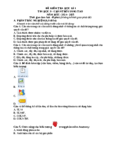 Đề thi Cuối kì 1 Tin học 9 Chân trời sáng tạo (Đề 1)