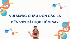 Giáo án Powerpoint Giảm phân Sinh học 10 Kết nối tri thức