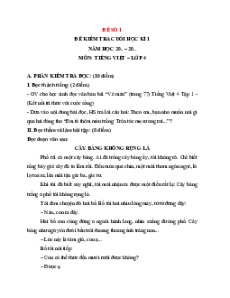 Bộ 30 đề thi cuối kì 1 Tiếng Việt lớp 4 Kết nối tri thức có đáp án