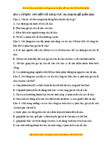 Trắc nghiệm Bài 4 Lịch Sử 10 Kết nối tri thức: Sử học với một số lĩnh vực, ngành nghề hiện đại