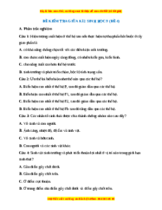 Đề thi giữa kì 2 Sinh học 9 (Đề 4)