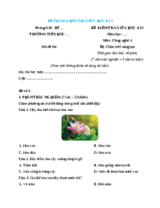 Đề thi giữa kì 1 Công nghệ lớp 4 Chân trời sáng tạo (Đề 2)