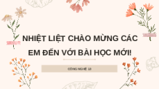 Giáo án Powerpoint Bài 5: Giới thiệu về hoa, cây cảnh Chuyên đề Công nghệ trồng trọt 10 Kết nối tri thức