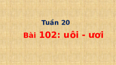 Giáo án Powerpoint Bài 103: uôi, ươi Tiếng việt lớp 1 Cánh diều