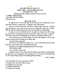 Đề thi giữa kì 1 Tiếng Việt lớp 5 Chân trời sáng tạo (Đề 10)