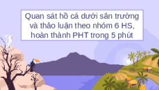 Giáo án Powerpoint Hệ sinh thái Sinh học - KHTN 8 Kết nối tri thức