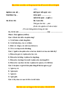 Đề thi cuối kì 1 Tin học lớp 4 Cánh diều - Đề 2