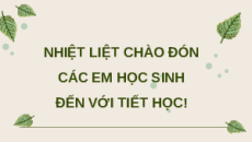 Giáo án Powerpoint Chuyên đề Bài 7: Các biện pháp phòng chống bệnh dịch ở người Sinh học 11 Kết nối tri thức