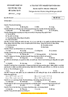 Đề thi thử tốt nghiệp Sinh học trường THPT Chuyên ĐH Vinh năm 2024
