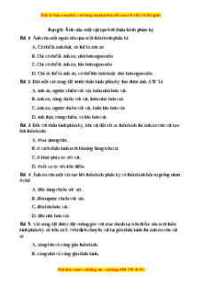 Trắc nghiệm Ảnh của một vật tạo bởi thấu kính phân kỳ Vật lí 9