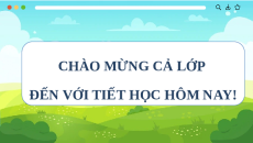 Giáo án Powerpoint Chủ đề A Bài 5 Tin học 11 Cánh diều: Phần mềm ứng dụng và dịch vụ phần mềm