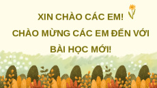 Giáo án Powerpoint Bài 5 Công nghệ lớp 4 Chân trời sáng tạo: Chăm sóc hoa, cây cảnh trong chậu
