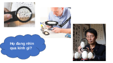 Giáo án Powerpoint Bài 3: Sử dụng kính lúp Khoa học tự nhiên 6 Kết nối tri thức