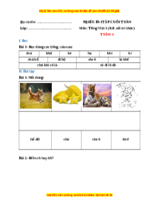 Bài tập cuối tuần Tiếng việt lớp 1 Tuần 4 Kết nối tri thức (có lời giải)