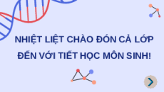 Giáo án Powerpoint Bài 1: Gene và sự tái bản DNA Sinh học 12 Cánh diều