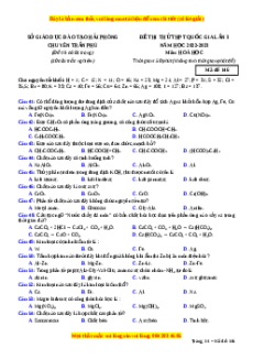 Đề thi thử Hóa Học trường Chuyên Trần Phú lần 3 năm 2023