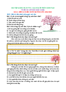 Phiếu bài tập hàng ngày Tiếng việt lớp 5 Chân trời sáng tạo Học kì 2