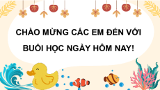 Giáo án Powerpoint Đọc: Chú gấu Mi-sa trang 38, 39 Tiếng việt lớp 3 Cánh diều