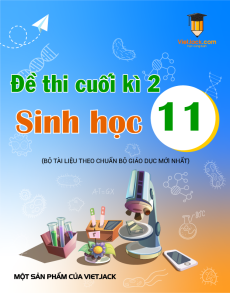 9 đề thi Sinh học 11 Cuối kì 2 có lời giải (sách mới)