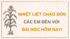 Giáo án Powerpoint Chủ đề 2 Lịch sử 9 Chân trời sáng tạo: Văn minh châu thổ sông Hồng và sông Cửu Long