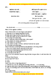 Đề thi giữa kì 2 Tin học 8 Cánh diều (Đề 4)