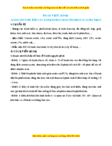 Lý thuyết Sinh học 10 Chân trời sáng tạo Bài 20: thực hành: quan sát tiêu bản các kì phân bào nguyên phân và giảm phân