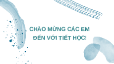 Giáo án Powerpoint Tập tính ở động vật Sinh học 10 Cánh diều