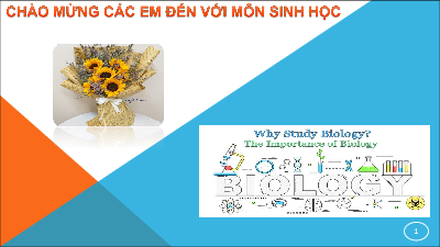 Bài giảng Powerpoint Sinh học 12 Chân trời sáng tạo (phiên bản 2)