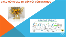 Bài giảng Powerpoint Sinh học 12 Chân trời sáng tạo (phiên bản 2)