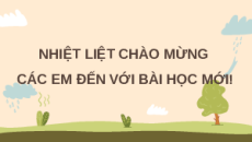 Giáo án Powerpoint Khái quát về cảm ứng ở sinh vật Sinh học 11 Kết nối tri thức