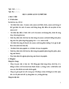 Giáo án Bài 9 Hóa học 12 Kết nối tri thức: Amino acid và peptide