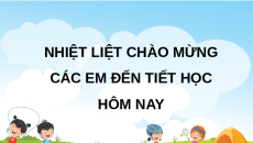 Giáo án Powerpoint Nhiều hơn hay ít hơn bao nhiêu (trang 19, 20) Toán lớp 2 Chân trời sáng tạo (phiên bản 2)