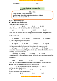 Bài tập cuối tuần Toán lớp 3 Tuần 11 Cánh diều (có lời giải)