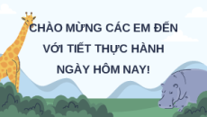 Giáo án Powerpoint Bài 27: Thực hành: Sinh học 12 Kết nối tri thức