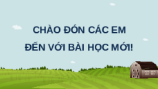Giáo án Powerpoint Bài 2 Công nghệ chăn nuôi 11 Kết nối tri thức: Vật nuôi và phương thức chăn nuôi