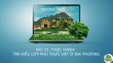 Giáo án Powerpoint Bài 23 Địa lí 6 Cánh diều: Thực hành Tìm hiểu lớp phủ thực vật ở địa phương