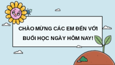 Giáo án Powerpoint Bài 6: Thực hành Xác định độ chua và độ mặn của đất Công nghệ trồng trọt 10 Kết nối tri thức