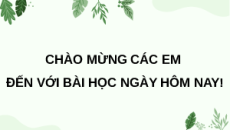 Giáo án Powerpoint Bài 24: Chu trình sinh - địa - hoá và Sinh quyển Sinh học 12 Cánh diều