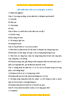 Đề thi giữa kì 2 Sinh học 11 Cánh diều (Đề 3)