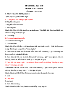 Bộ 3 đề thi Cuối kì 2 Tin học lớp 5 Cánh diều có đáp án