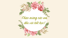 Giáo án Powerpoint Thực hành tiếng Việt trang 20 Ngữ văn 11 Kết nối tri thức