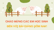 Giáo án Powerpoint Ôn tập Chương 1 (trang 90) Sinh học 11 Chân trời sáng tạo